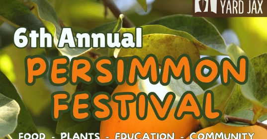 6th Annual Persimmon Festival