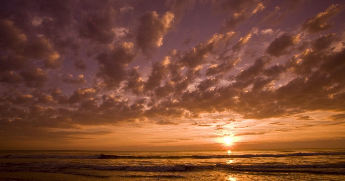 Jacksonville Florida Weather And Climate Visit Jacksonville