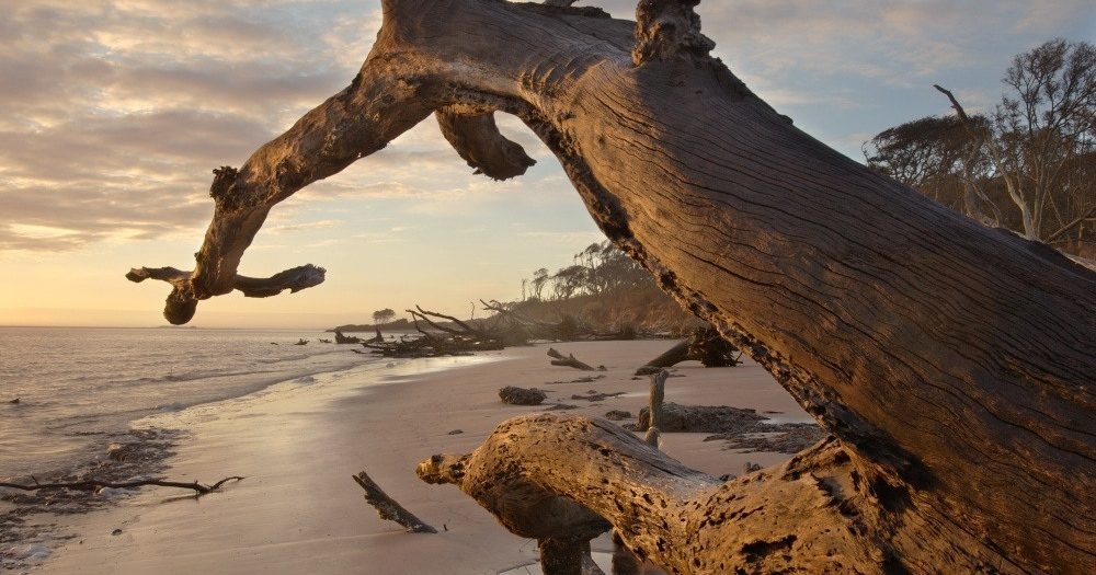 Talbot Island State Park Visit Jacksonville