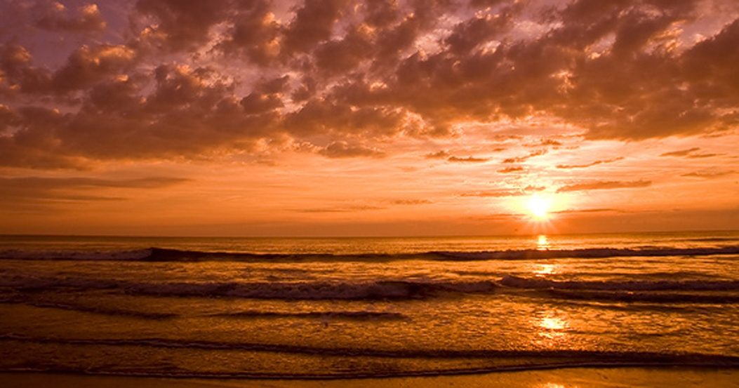 Jacksonville News, Events, & Things to Do - Visit Jacksonville Blog